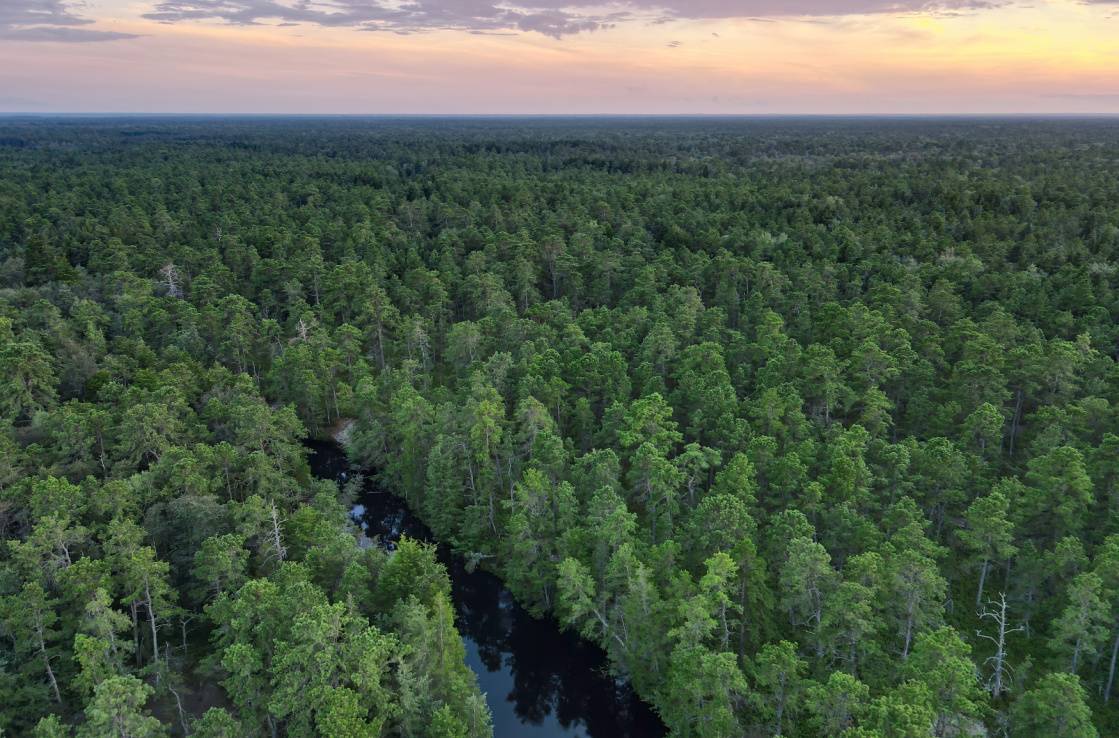 Pine Barrens New Jersey luoghi spaventosi USA